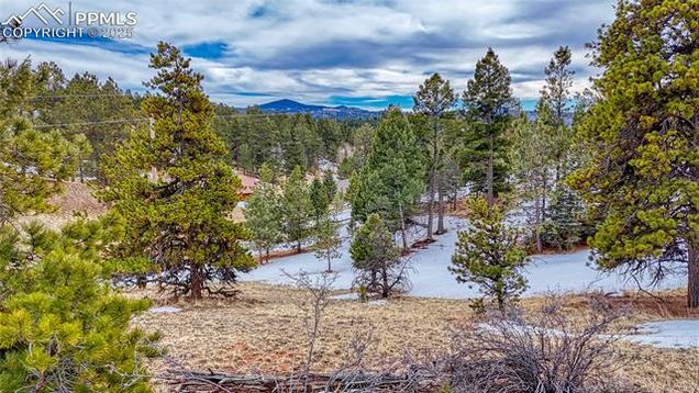 54 Southgate Road Florissant, CO Land Active - Photo 1 of 23. Opens carousel modal