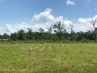 Lot 3 Church Branch Road Springfield, LA Plot of land Sold - Photo 1 of 10. Opens carousel modal