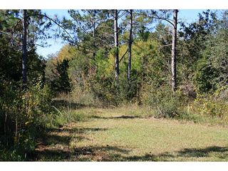 Lot 29 Mop Top Road
