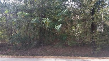 Old Landing Road