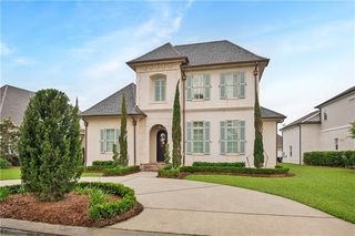 11 Palmetto