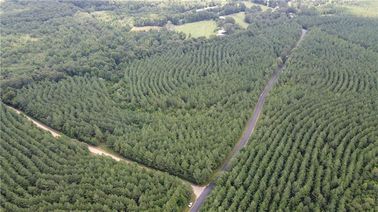 Lot H Otis Jones Road