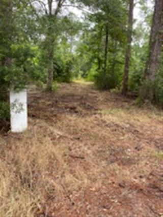 24039 Hwy 435 Highway