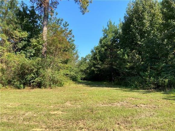 Lot 1 N Money Hill Parkway Abita Springs, LA Plot of land Sold - Photo 1 of 11. Opens carousel modal
