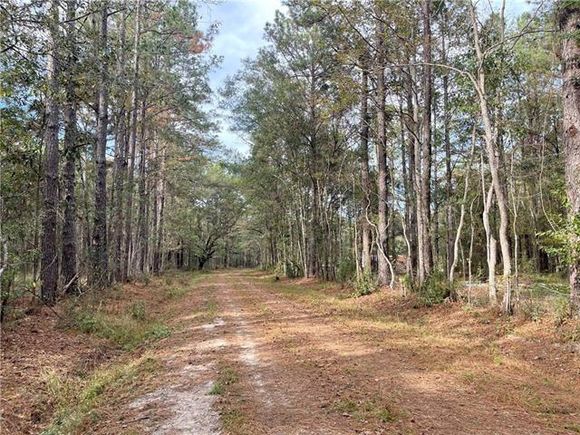 37285 Dummyline Road
