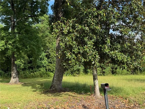 Lower Rome Road Springfield, LA Plot of land Active - Photo 1 of 6. Opens carousel modal
