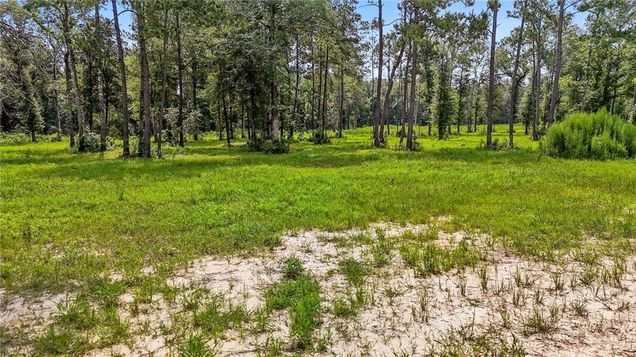 39482 Lee Landing's Road Ponchatoula, LA Plot of land Active - Photo 1 of 14. Opens carousel modal