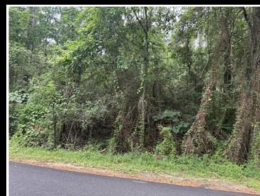 N Dogwood Drive Covington, LA Plot of land Active - Photo 1 of 4. Opens carousel modal