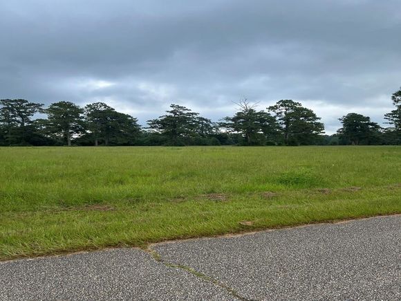 000 Ray Keen Road Covington, LA Plot of land Active - Photo 1 of 5. Opens carousel modal