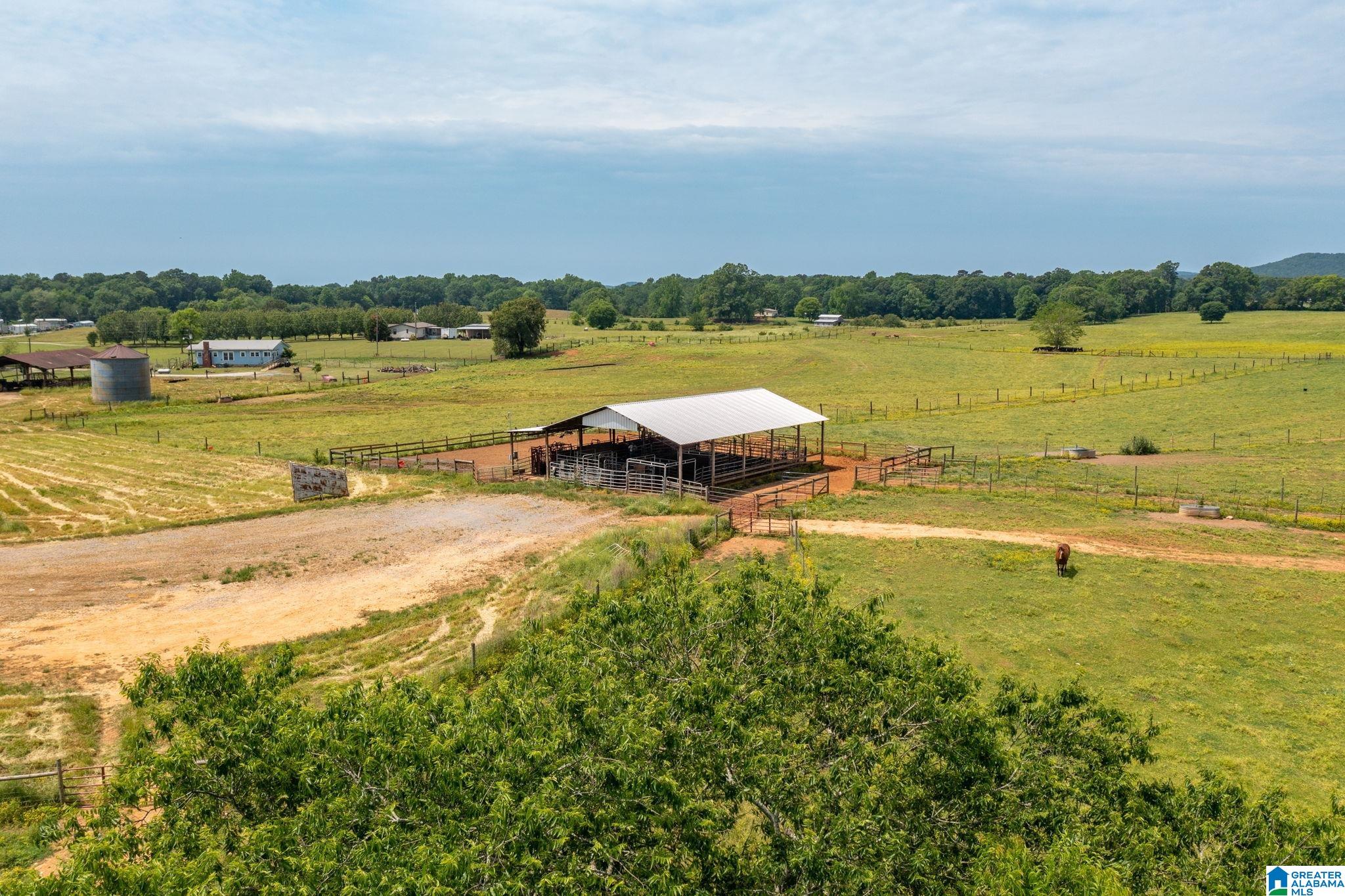 7481 Hwy 61 0, Wilsonville, AL 35186 Estately 🧡 MLS 1356218