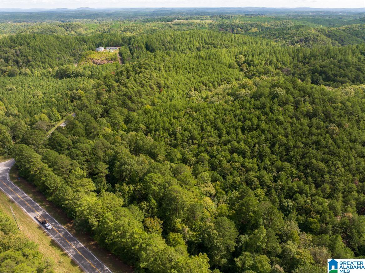 145 CO Rd 0, CLANTON, AL 35046 Estately 🧡 MLS 21399831
