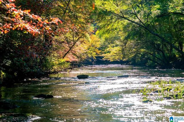 Lot 4 BLUEGRASS LANE Unit 4 JASPER, AL Plot of land Active - Photo 1 of 3. Opens carousel modal