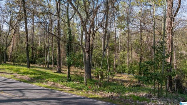 3328 CAHABA HEIGHTS ROAD Unit 3A CAHABA HEIGHTS, AL Plot of land Active - Photo 1 of 4. Opens carousel modal