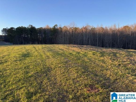 3586-A COUNTY ROAD 26 Unit 57 Ac WADLEY, AL Plot of land Active - Photo 1 of 4. Opens carousel modal