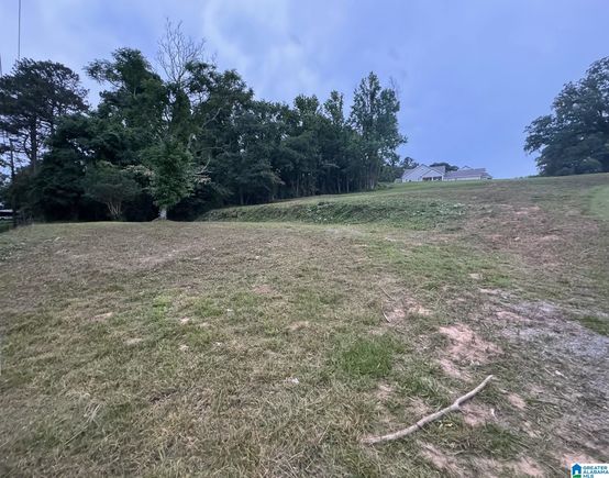 4914 BRANCHVILLE ROAD Unit 0 TRUSSVILLE, AL Plot of land Sold - Photo 1 of 6. Opens carousel modal