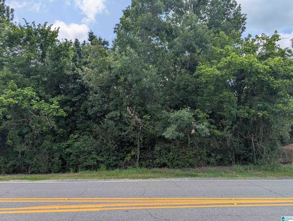 6200 DEERFOOT PARKWAY Unit 0 TRUSSVILLE, AL Plot of land Active - Photo 1 of 2. Opens carousel modal