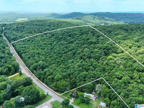 0 COUNTY ROAD 59 Unit 2 MOULTON, AL Plot of land Active - Photo 1 of 15. Opens carousel modal