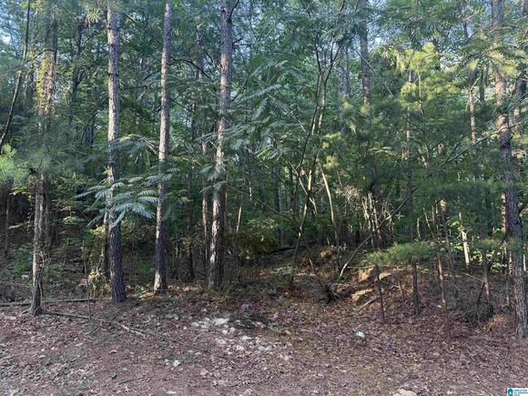 5145 WOODLAND DRIVE Unit 5145/5135 IRONDALE, AL Plot of land Active - Photo 1 of 2. Opens carousel modal