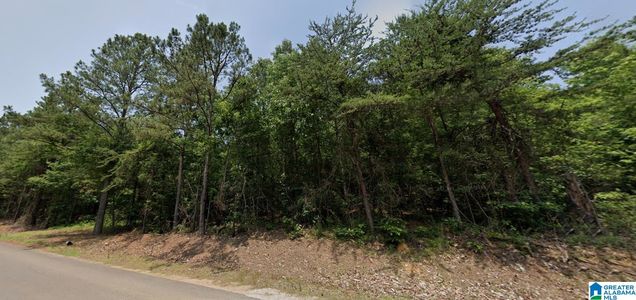 00 BAMA ROCK GARDEN ROAD Unit 0 VANCE, AL Plot of land Active - Photo 1 of 3. Opens carousel modal
