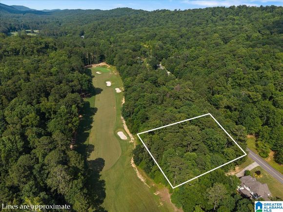 433 SAINT ANDREWS PARKWAY Unit 1 ONEONTA, AL Plot of land Active - Photo 1 of 22. Opens carousel modal