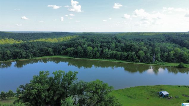 25845 US HIGHWAY 11 Unit n/a EUTAW, AL Plot of land Active - Photo 1 of 27. Opens carousel modal