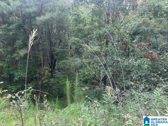 195 HAMILTON LANE Unit 195 RIVERSIDE, AL Plot of land Active - Photo 1 of 5. Opens carousel modal