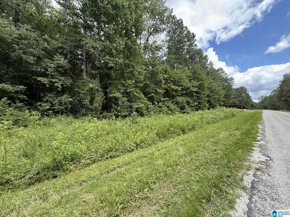 Tract 2 COUNTY ROAD 103 Unit 2 WOODLAND, AL Plot of land Active - Photo 1 of 3. Opens carousel modal