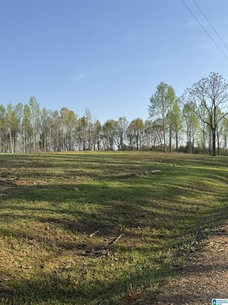 17+/- Acres PEACE OF MIND DRIVE Unit 2 LINEVILLE, AL Plot of land Active - Photo 1 of 9. Opens carousel modal