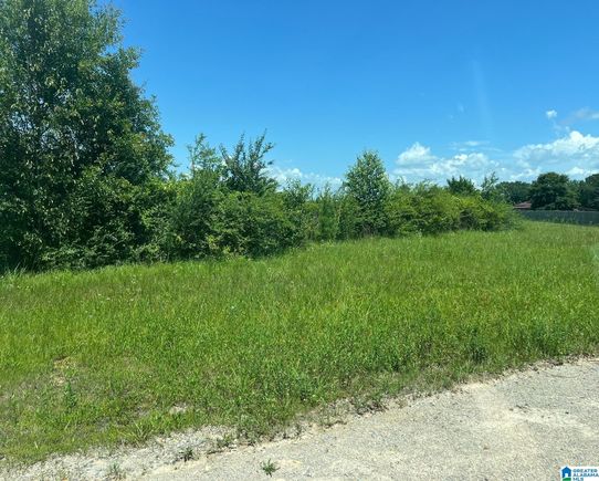 PLUM CREEK DRIVE Unit none VINCENT, AL Plot of land Active - Photo 1 of 2. Opens carousel modal