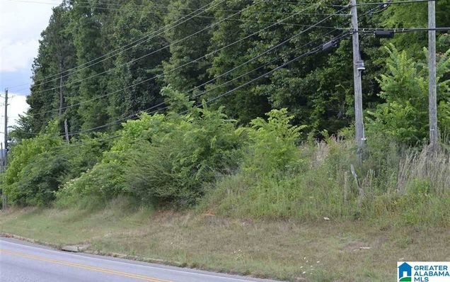 249 HIGHWAY 216 Unit 1 MONTEVALLO, AL Plot of land Active - Photo 1 of 1. Opens carousel modal