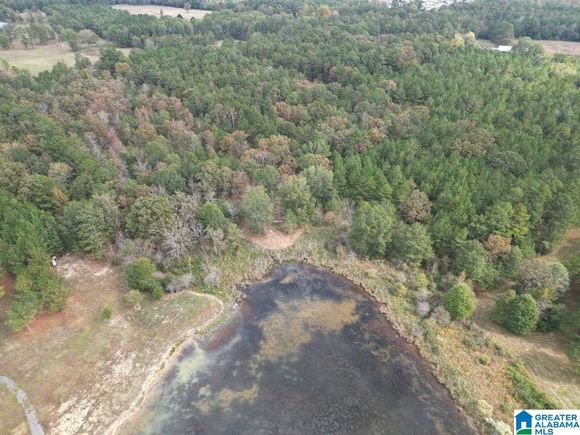 0 COUNTY ROAD 26 Unit 0 ASHVILLE, AL Plot of land Active - Photo 1 of 9. Opens carousel modal