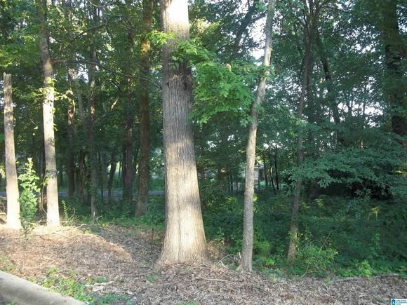5715 CAMDEN AVENUE Unit 1 BIRMINGHAM, AL Plot of land Active - Photo 1 of 3. Opens carousel modal