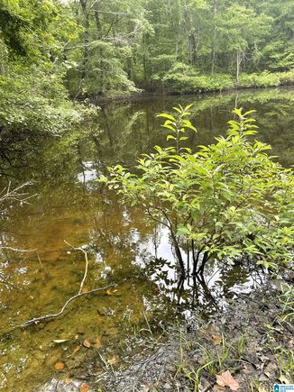 #1 HIGHWAY 55 Unit 1 VANDIVER, AL Plot of land Active - Photo 1 of 1. Opens carousel modal