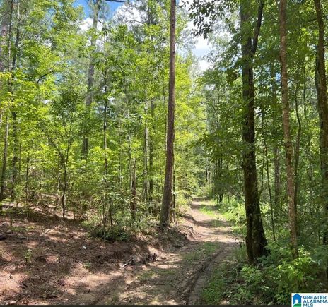 0 FLEMING ROAD Unit 1 VINCENT, AL Plot of land Active - Photo 1 of 5. Opens carousel modal