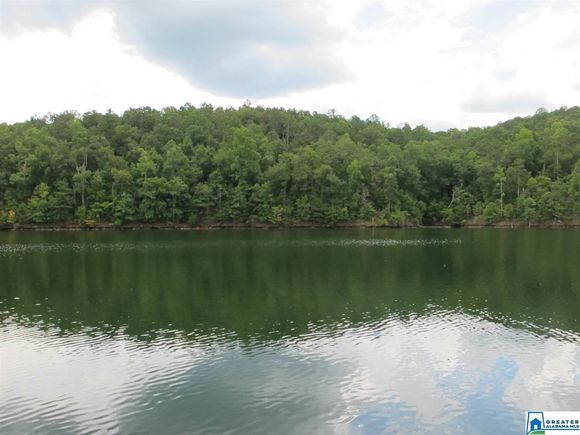 210 OVERLOOK WAY Unit 1 WEDOWEE, AL Plot of land Active - Photo 1 of 6. Opens carousel modal