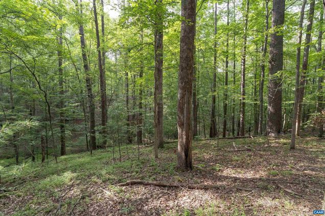 Tbd Decca Ln CHARLOTTESVILLE, VA Plot of land Active - Photo 1 of 8. Opens carousel modal