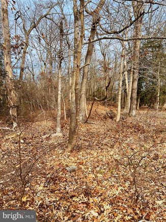 917 Spruce Avenue MILFORD, DE Plot of land Active - Photo 1 of 5. Opens carousel modal