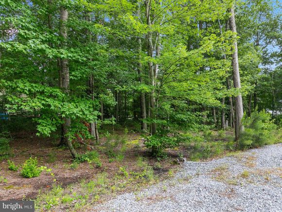 35961 Collins Lane SELBYVILLE, DE Plot of land Active - Photo 1 of 7. Opens carousel modal