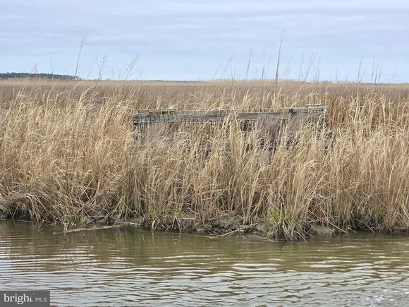 Waterfowl & Sika / Ducks Wesley Road Unit DEEP BRANCH CRAPO, MD Plot of land Active - Photo 1 of 18. Opens carousel modal