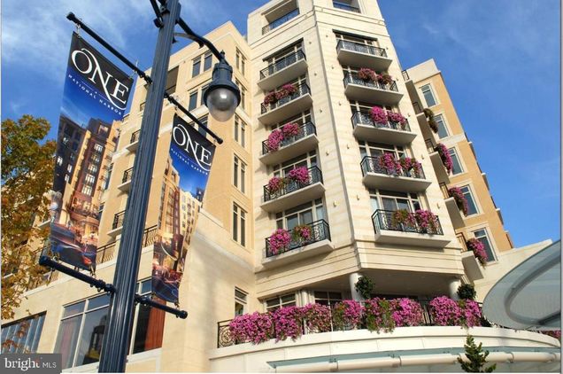 155 Potomac Passage Unit 429
