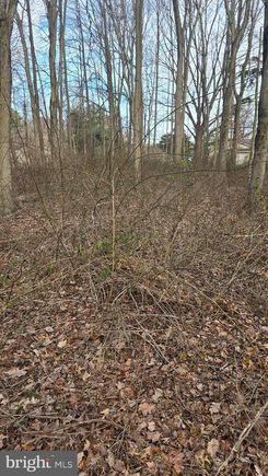 Lots 28& 29 Baltimore Drive STEVENSVILLE, MD Plot of land Sold - Photo 1 of 1. Opens carousel modal