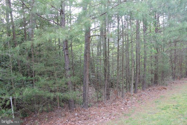 19400 Brandon Way GREAT MILLS, MD Plot of land Active - Photo 1 of 4. Opens carousel modal
