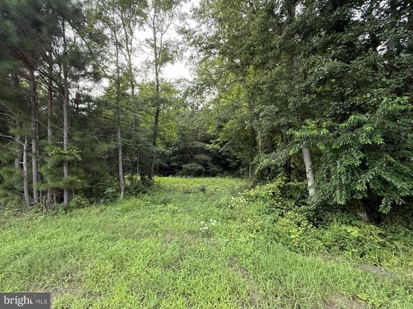 7613 Acorn Road NEWARK, MD Plot of land Active - Photo 1 of 2. Opens carousel modal