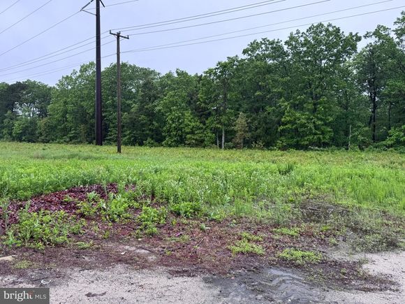 117 Bernard Avenue EGG HARBOR TOWNSHIP, NJ Plot of land Active - Photo 1 of 3. Opens carousel modal