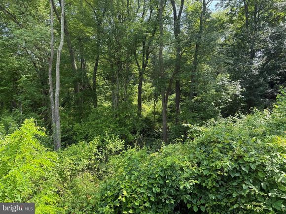 23 Creek Road LUMBERTON, NJ Plot of land Active - Photo 1 of 1. Opens carousel modal