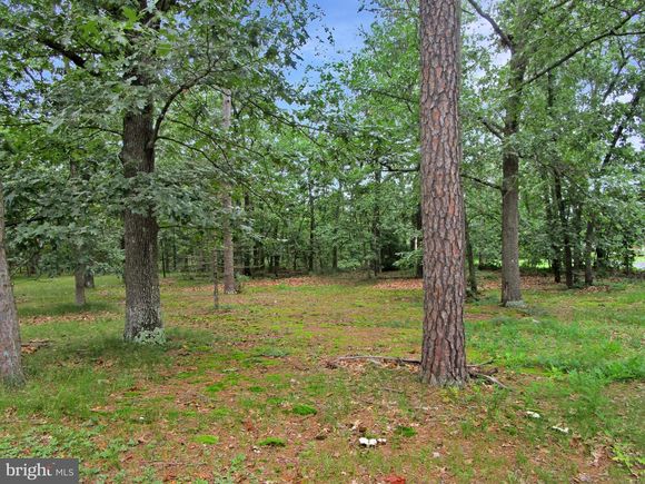 0 Maple Avenue WATERFORD WORKS, NJ Plot of land Active - Photo 1 of 55. Opens carousel modal