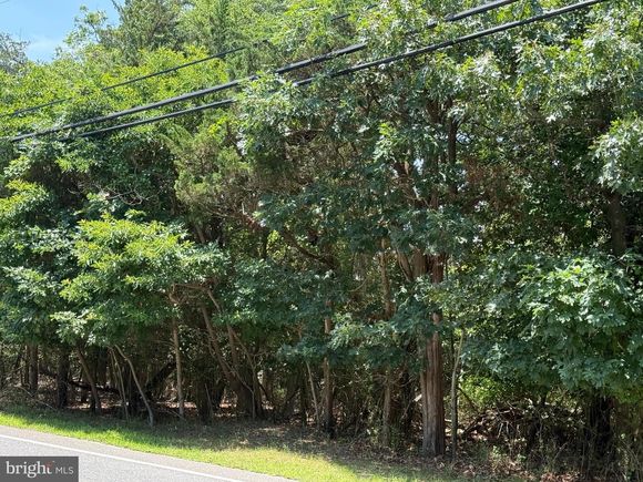 1298 Radio Road LITTLE EGG HARBOR TWP, NJ Plot of land Active - Photo 1 of 9. Opens carousel modal