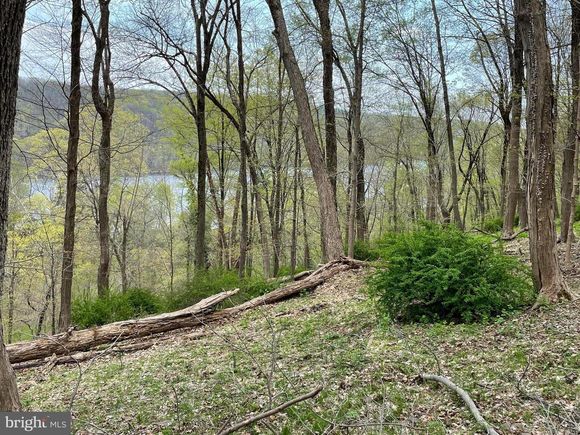 421 River Road PIPERSVILLE, PA Plot of land Active - Photo 1 of 15. Opens carousel modal