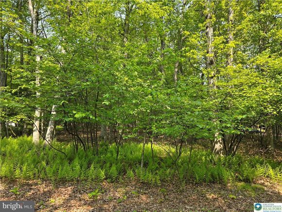 163 Piney Woods Drive JIM THORPE, PA Plot of land Sold - Photo 1 of 8. Opens carousel modal
