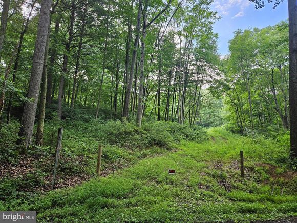Lot 1 Sweetwater Road FORT LOUDON, PA Plot of land Active - Photo 1 of 4. Opens carousel modal